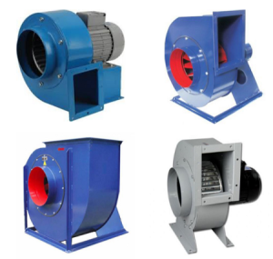 Gebze-Salyangoz-Fan-Cesitleri